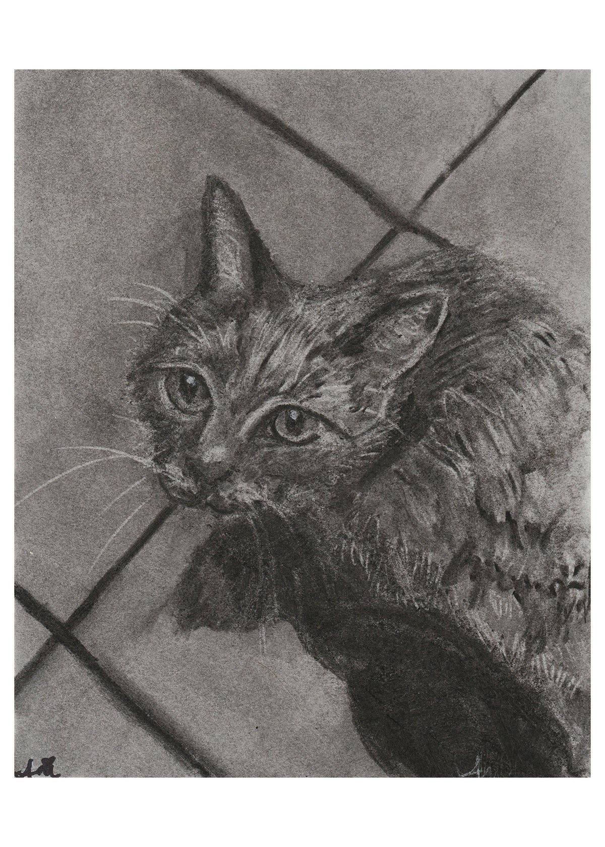 Kitchen Kitty Original