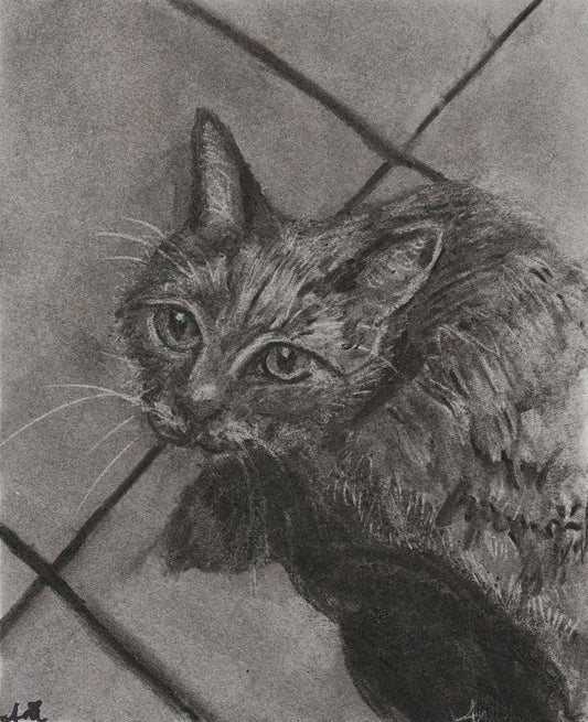 Kitchen Kitty